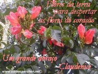 claudenice