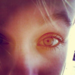 Callyta