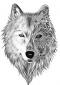 estrelastark